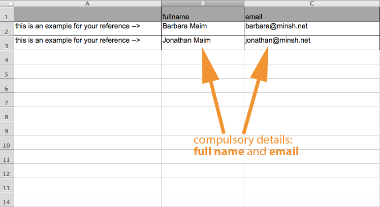Full name and email address are comulsory fields