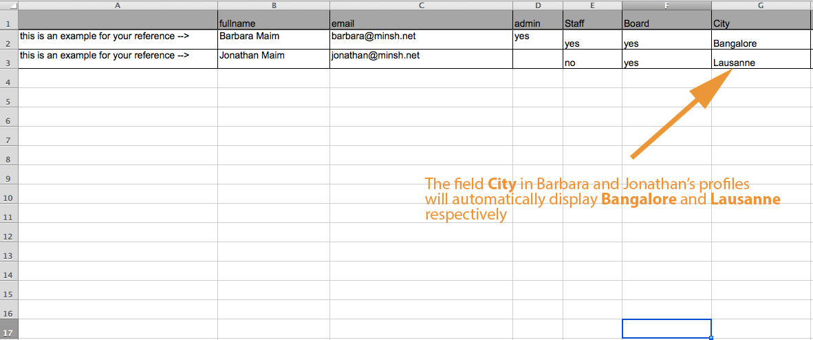 Add a column for each optional field and fill out each user's data
